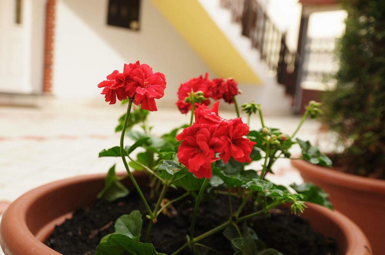 Apartman Baron Višegrad Dış mekan fotoğraf